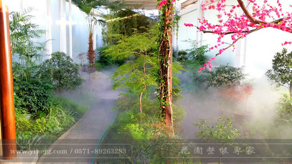 這樣的室內庭院，簡直讓我尖叫！